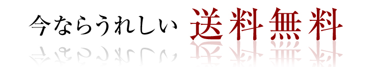 今ならうれしい送料無料